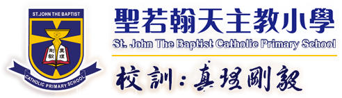 St John The Baptist Catholic Primary School Moodle System